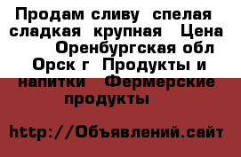 Продам сливу: спелая, сладкая, крупная › Цена ­ 30 - Оренбургская обл., Орск г. Продукты и напитки » Фермерские продукты   